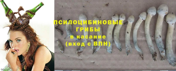эйфоретик Алексин