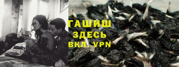 МДПВ Алзамай
