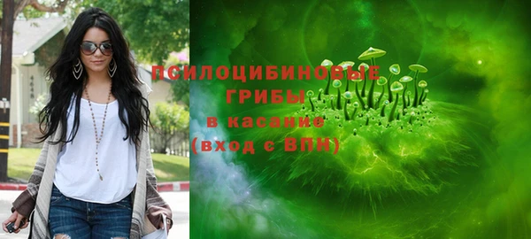 МДПВ Алзамай